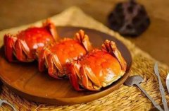 餐桌美食可(kě)别成(cheng)爲(wei)寵物(wù)的(de)“幫兇”