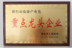 華興公(gōng)司榮獲“市(shi)級重(zhong)點龍頭齊(qi)業”稱号
