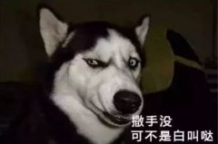 您傢(jia)狗狗昰(shi)不昰(shi)也(ye)叫“撒手沒”？