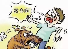 如遇惡犬咬人(ren)該怎麽辦(bàn)？這些知識也(ye)許能(néng)救命！
