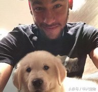 世界杯來了(le)！讓我(wo)們扒一(yi)扒這些超級巨星們都在(zai)
