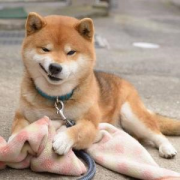 相信(xin)你也(ye)害怕遇到(dao)這幾種人(ren)吧？