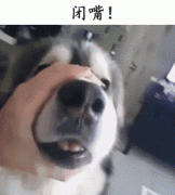 自從(cong)養了(le)狗，撿屎官們就多(duo)了(le)這些口頭禅……