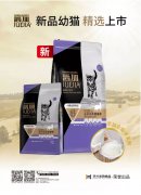 爵加(jia)新(xin)品(pin)幼貓精(jīng)選上市(shi)！