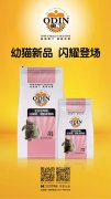 奧丁精(jīng)品(pin)幼貓糧閃耀登場(chang)！！！