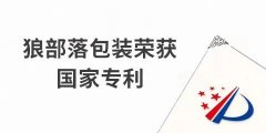 捷報！力(li)狼狼部(bu)落包裝(zhuang)榮獲外觀設(shè)計(ji)專(zhuan)利證書