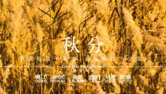 秋分(fēn)丨晝夜分(fēn)畫，漸入秋華