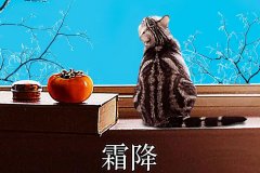 霜降丨縱然霜華盡染，心中(zhong)美好如初