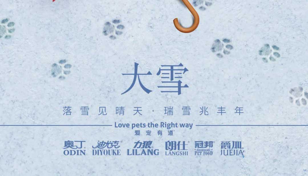 大(da)雪(xuě)丨雪(xuě)落知寒意 久伴見初心！