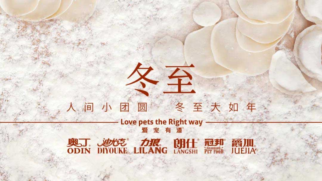 冬至丨晝夜輪回 寵愛作(zuò)陪