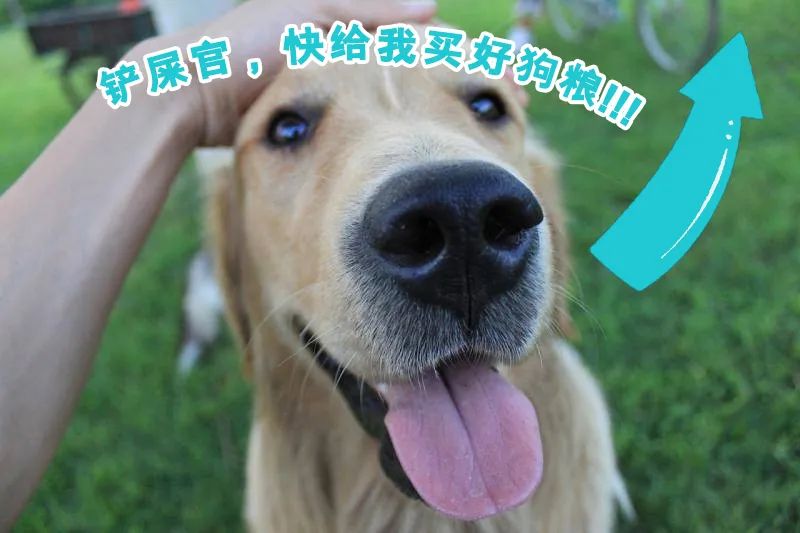 華興寵物(wù)