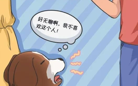 華興寵物(wù)