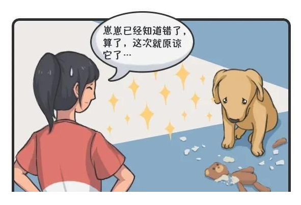 華興寵物(wù)