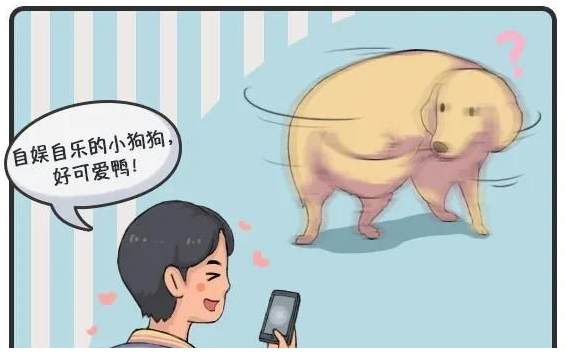 華興寵物(wù)