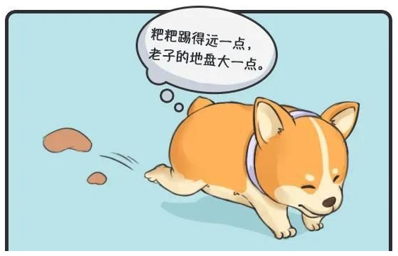 華興寵物(wù)
