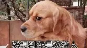 華興寵物(wù)