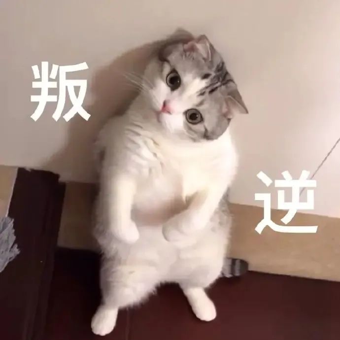 華興寵物(wù)