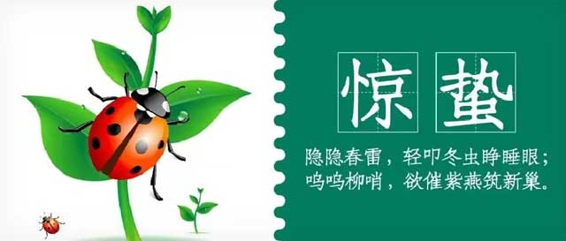 華興寵物(wù)