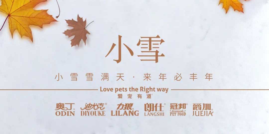 小(xiǎo)雪(xuě)丨天地初寒，歲月安(an)暖